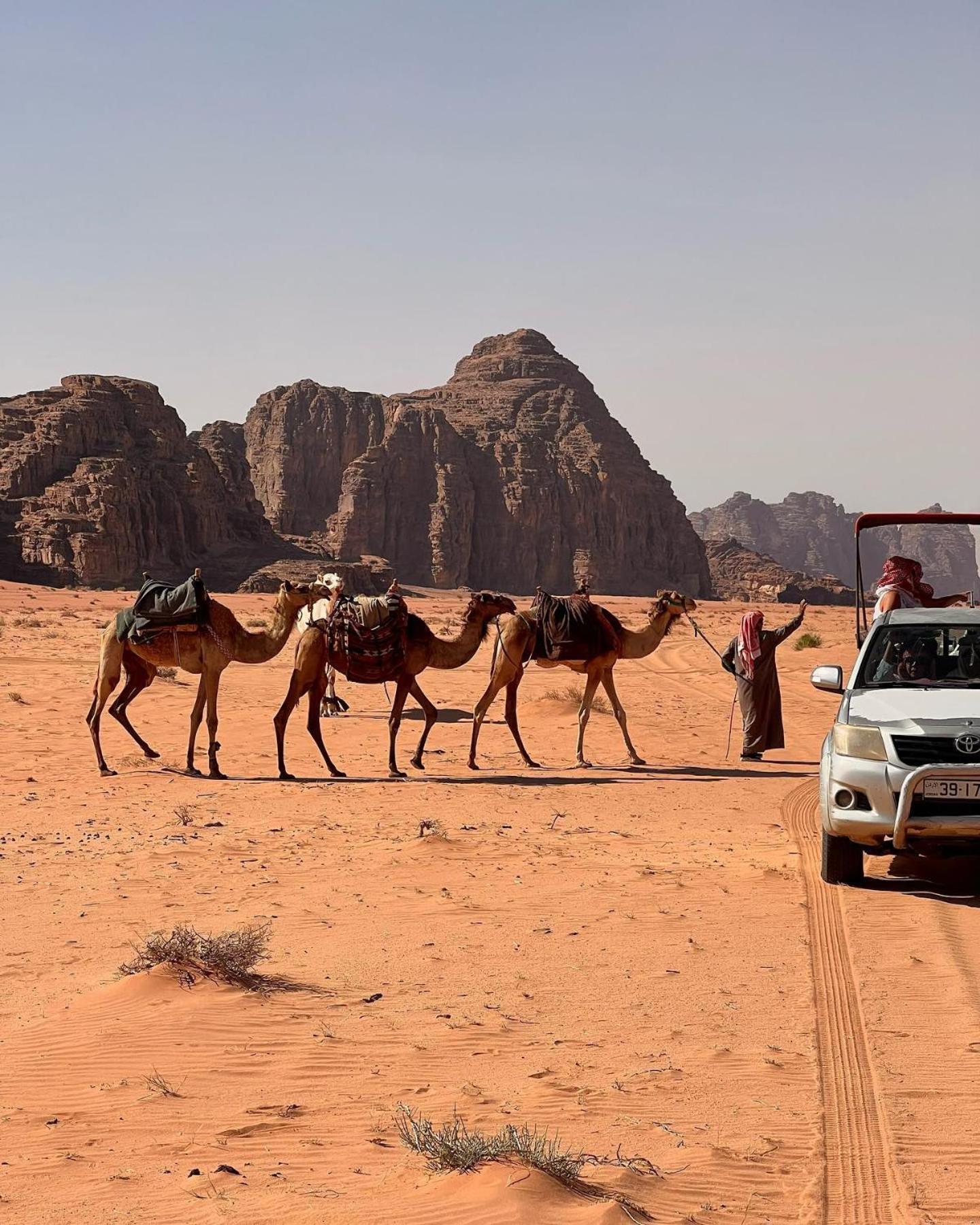 Daniela Camp Wadi Rum Ngoại thất bức ảnh