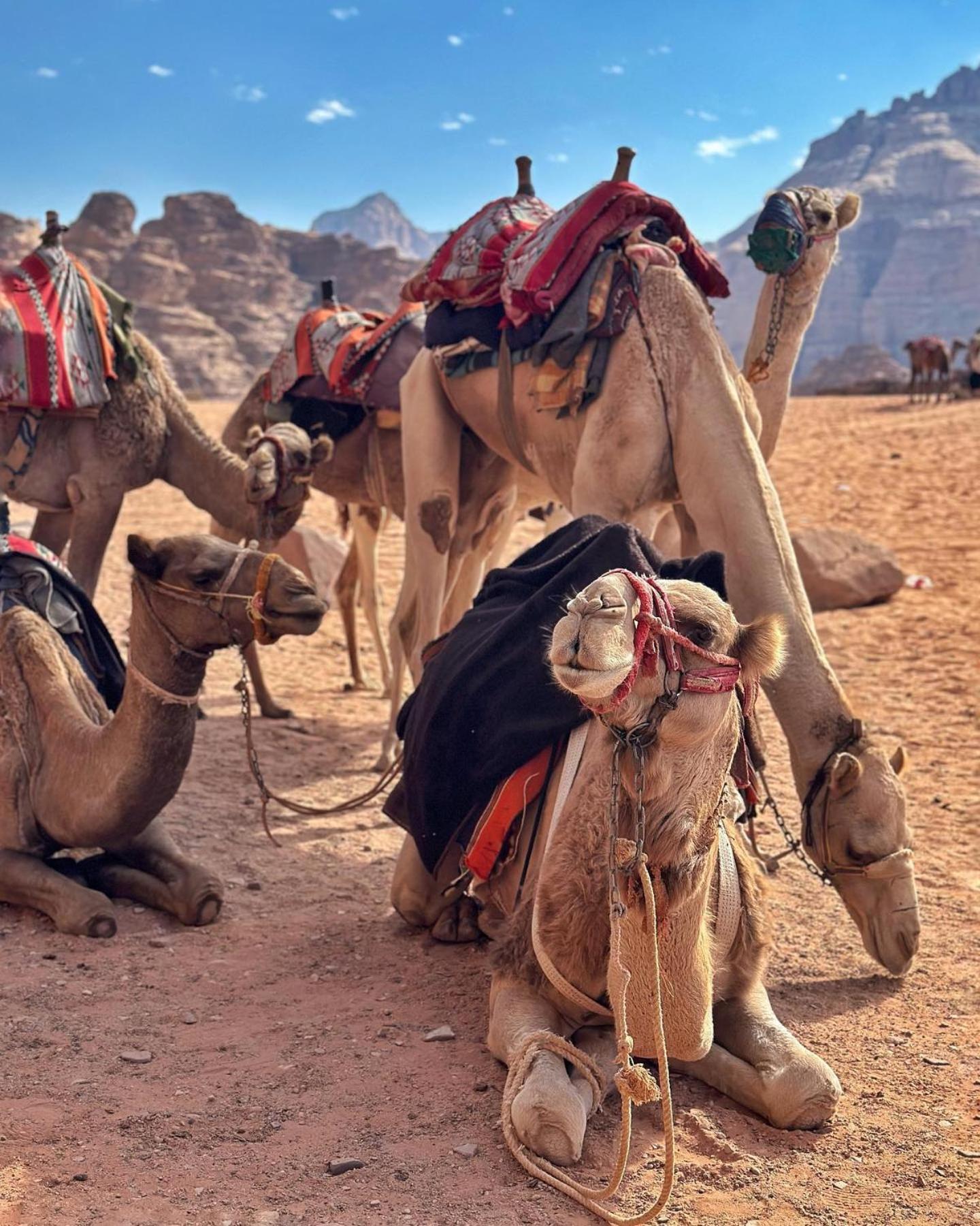 Daniela Camp Wadi Rum Ngoại thất bức ảnh
