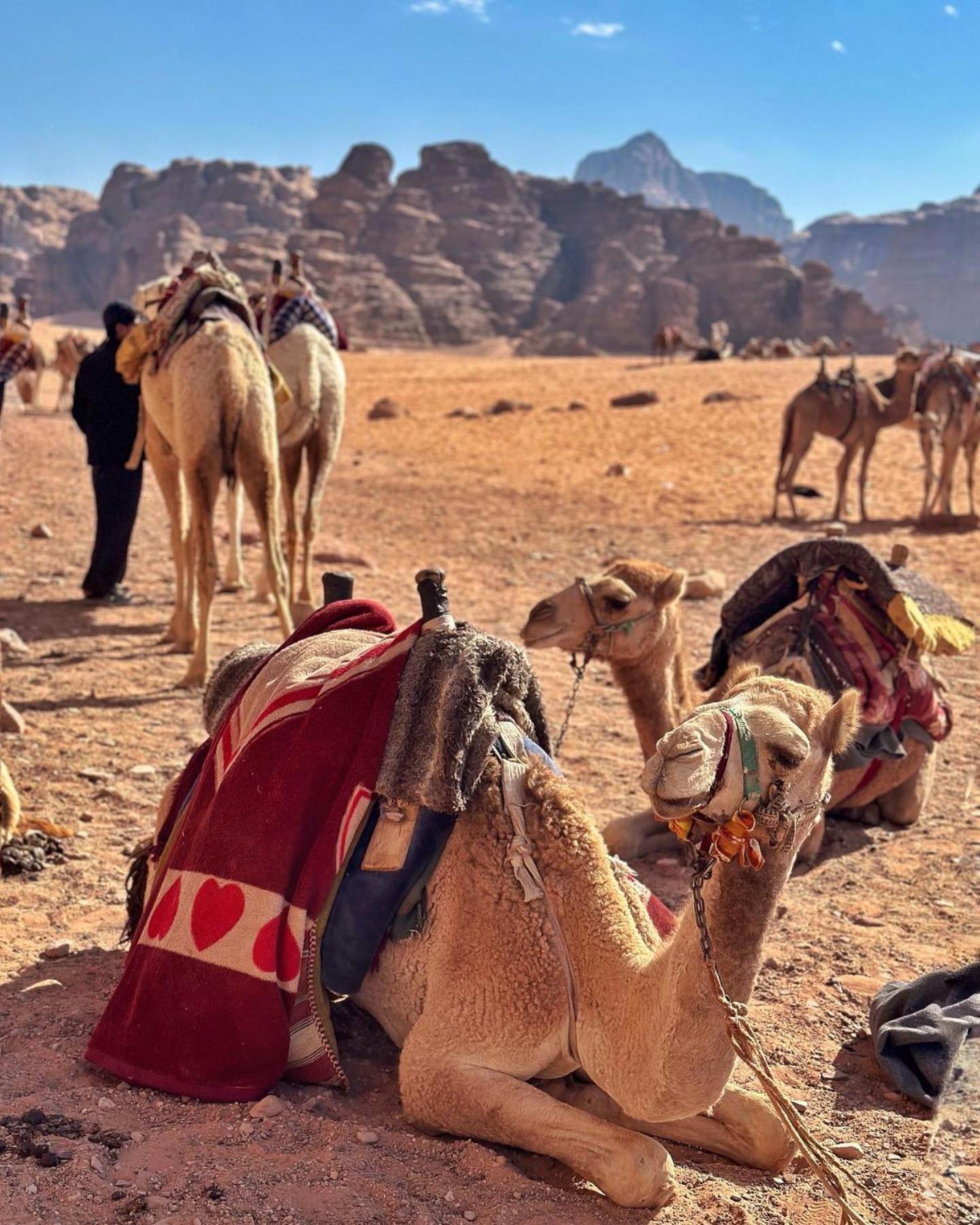 Daniela Camp Wadi Rum Ngoại thất bức ảnh